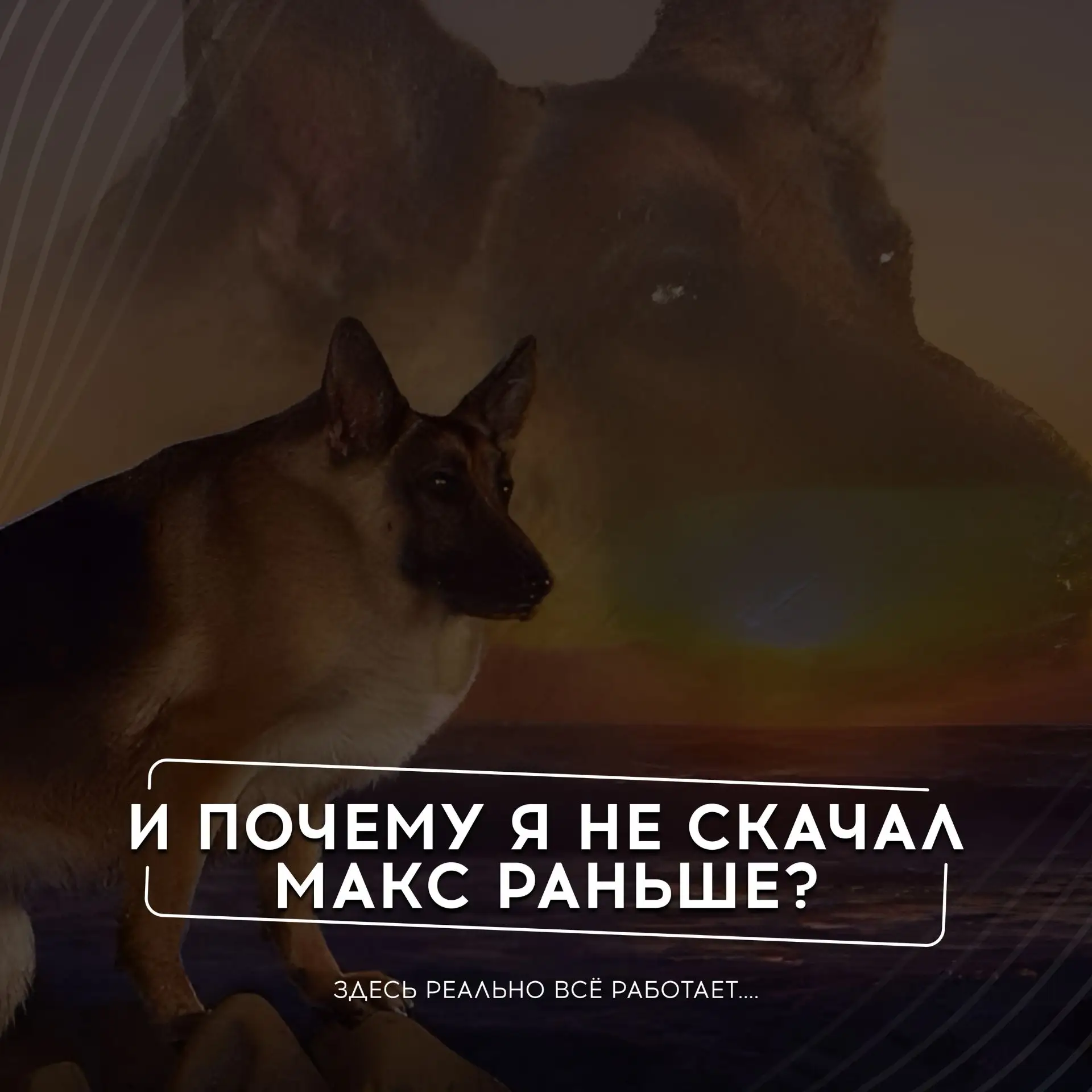 ⚡️В ожидании чуда. Иногда оно приходит само