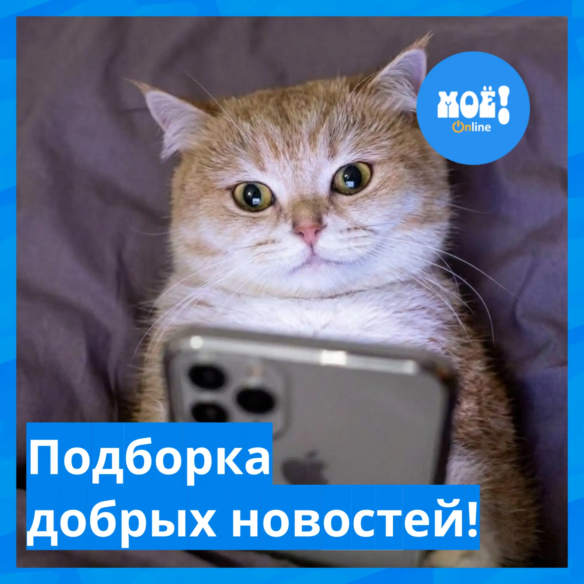 В ленте достаточно громких и тревожных заголовков. Мы подготовили для вас небольшую пер...