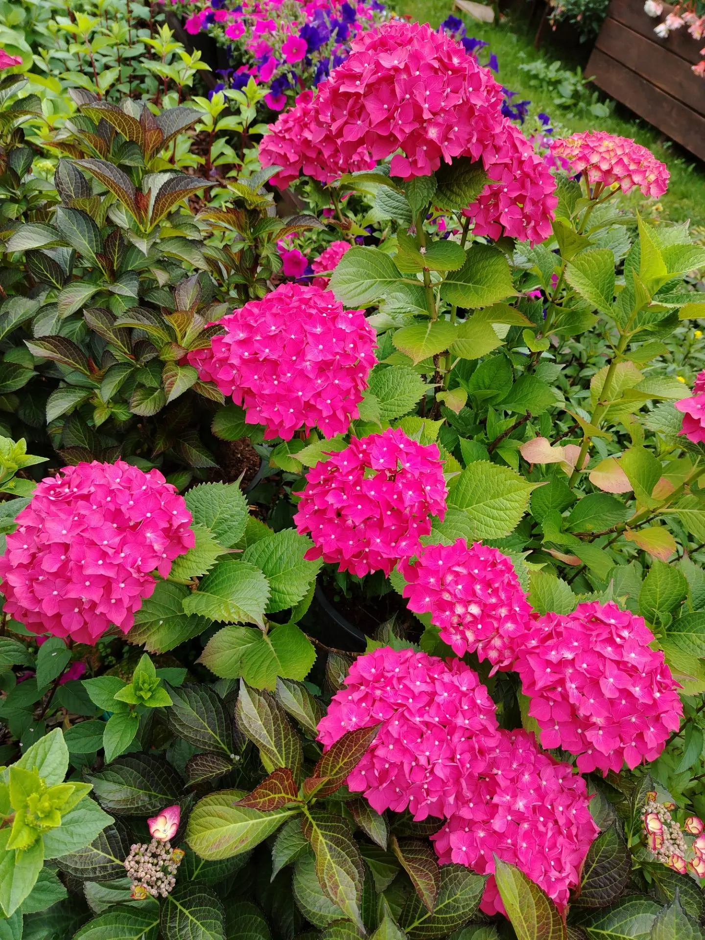 Доброе утро! Хорошего вам дня! Замечательного настроения! 🌺🤗🌿