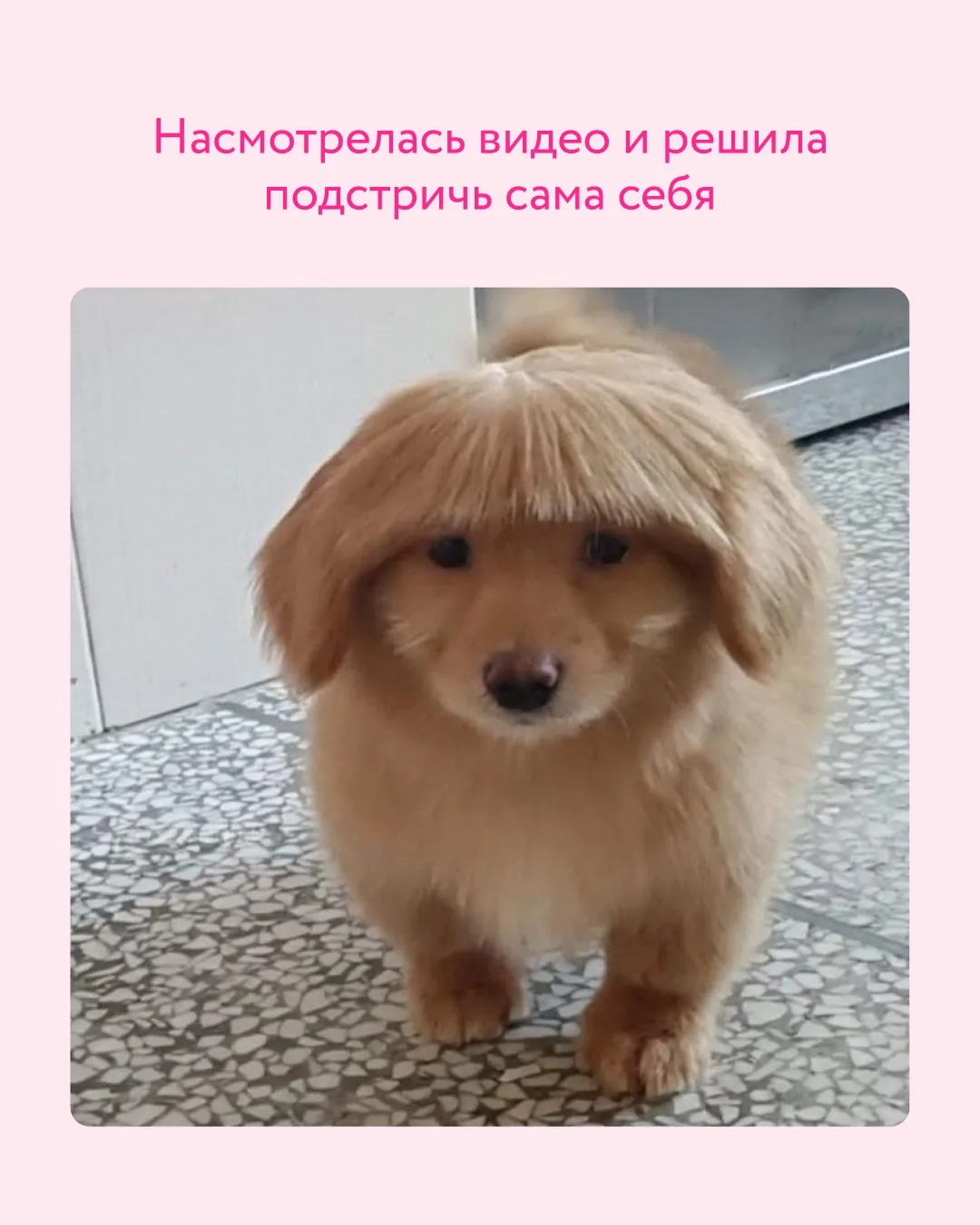 Минутка юмора 🫶  Листаем карточки и решаем: мы или не мы?  P.S. Мемное творчество подписчиков привет