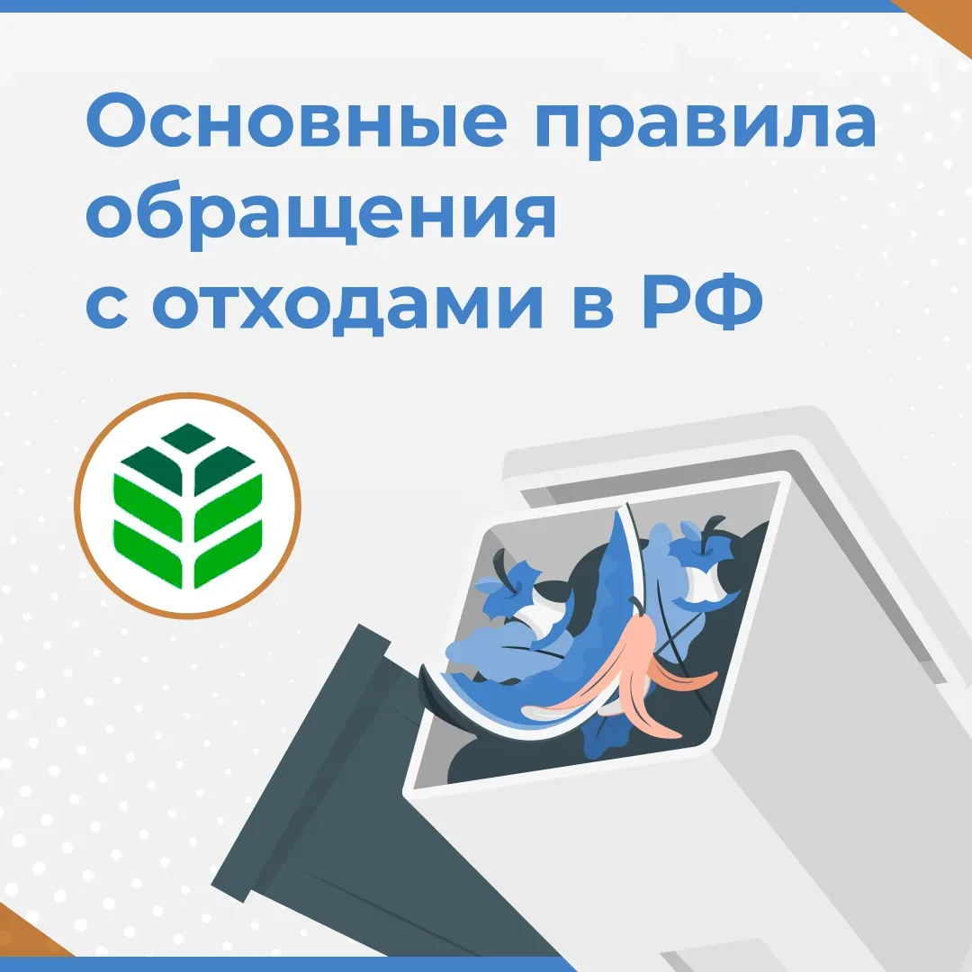 Основные правила обращения с отходами смотрите в карточках!

Следуя этим простым правилам, вы вносит