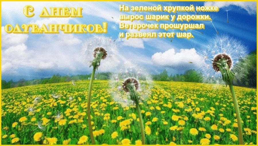 День одуванчика — праздник маленьких солнышек! 🌼Одуванчик — будто маленькое солнышко н...
