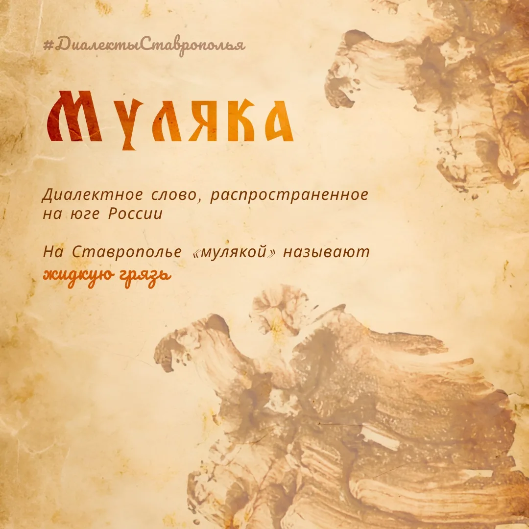 Вы знаете, что такое муляка?💭