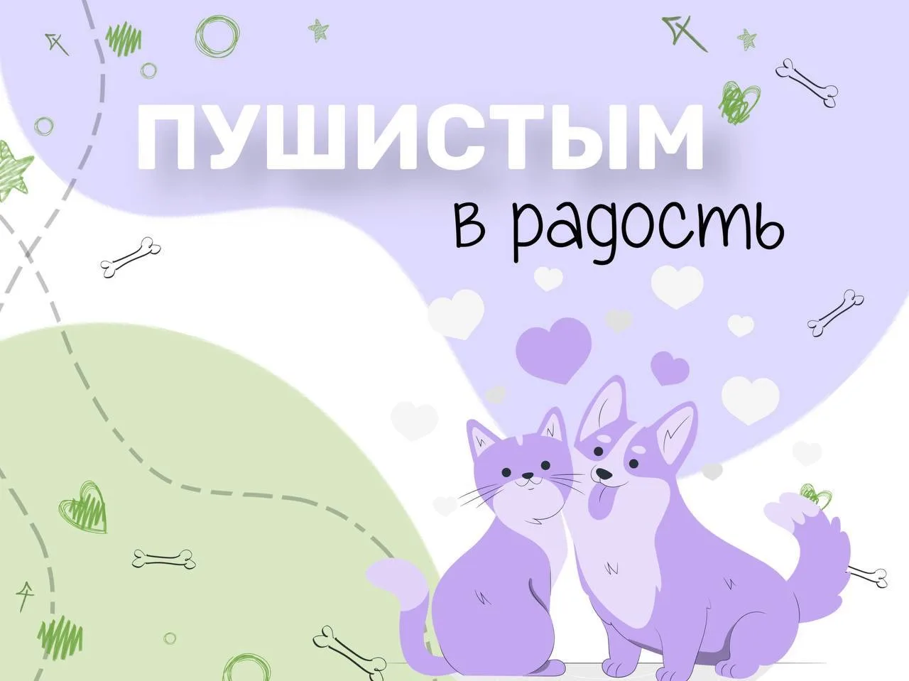 ПУШИСТЫМ В РАДОСТЬ   Волонтерский отряд Курчатовской школы запускает традиционную акцию в рамках зоо