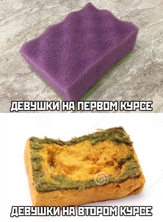 #юмор