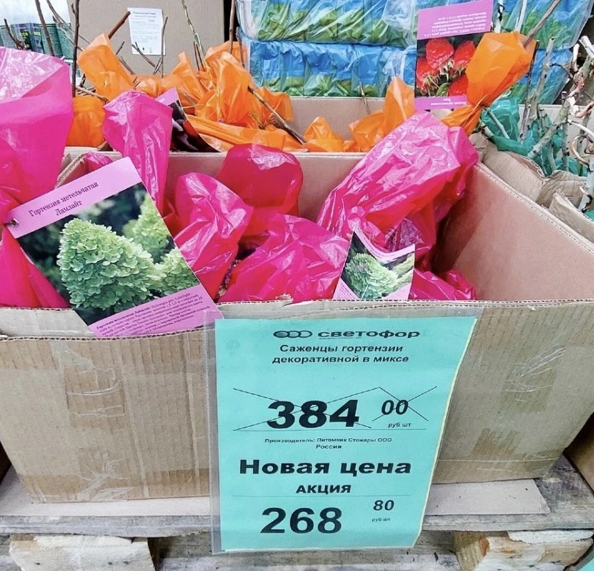 Светофор