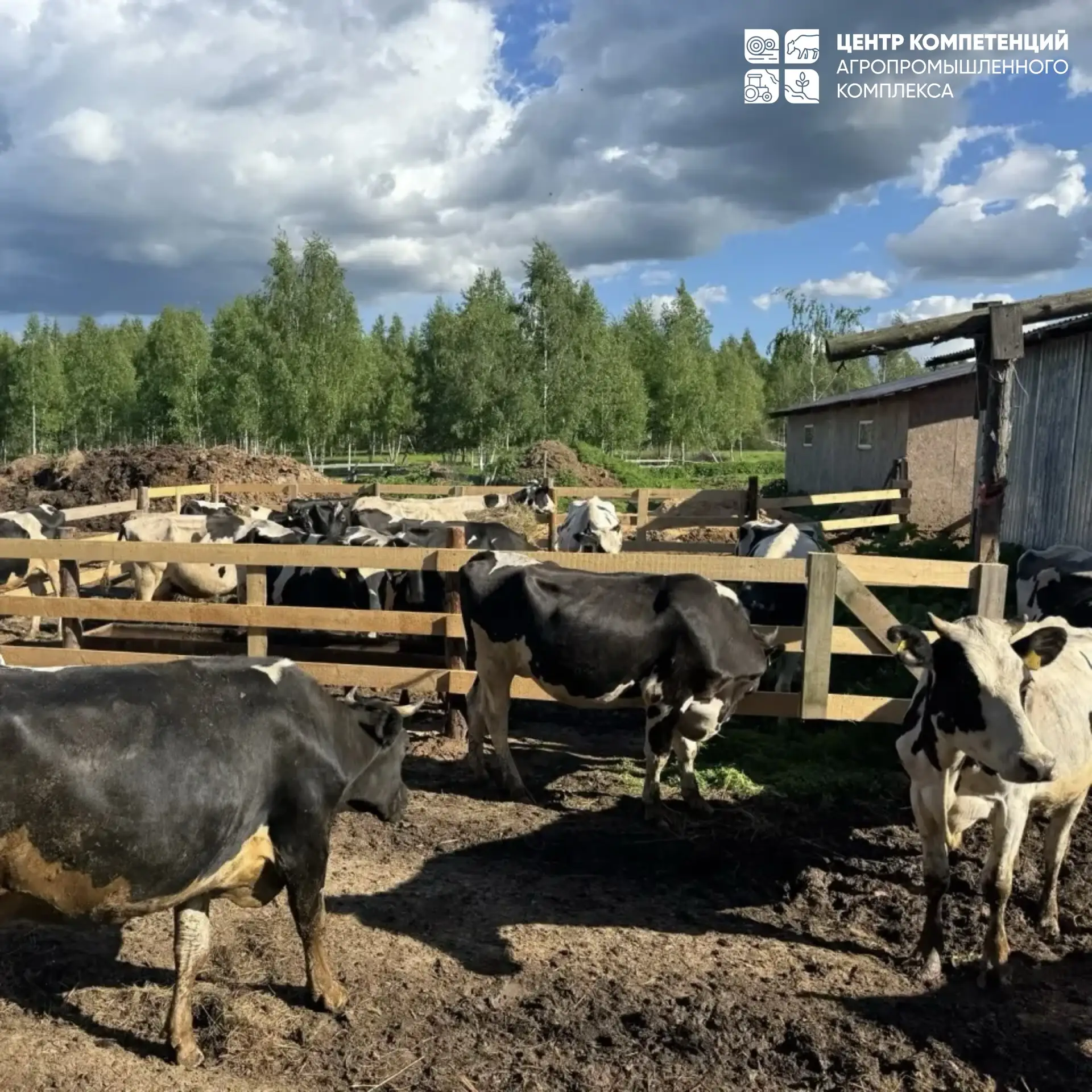 🐄🏡 Новоселье на семейной ферме!