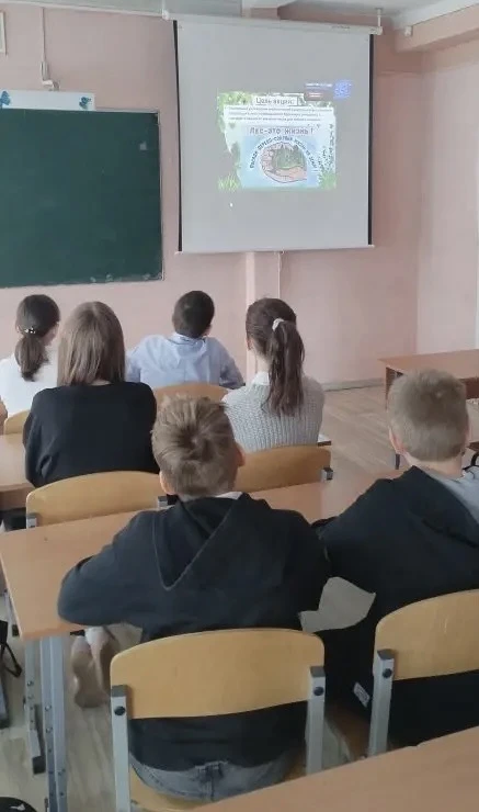 🌳Международный день леса!   🏡В 2012 году Генеральная Ассамблея Организации Объединенных Наций провоз