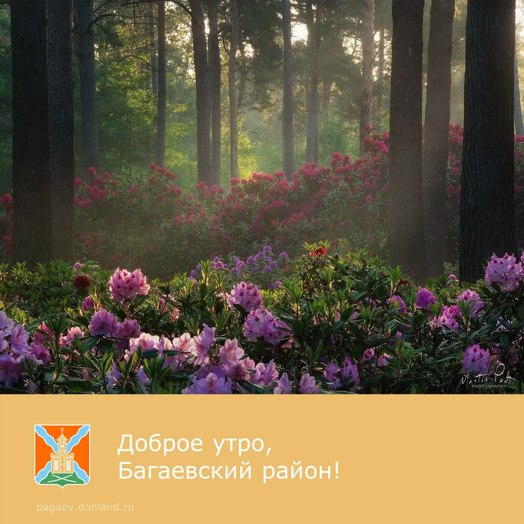 ☀️ Доброе утро, уважаемые жители Багаевского района!