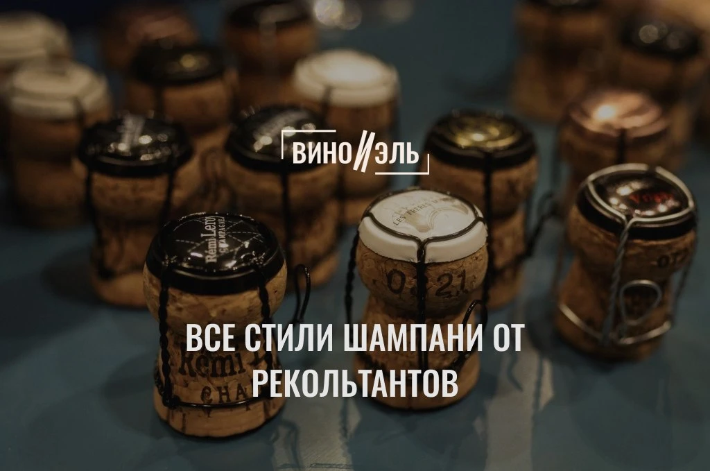 Все стили Шампани от рекольтантов