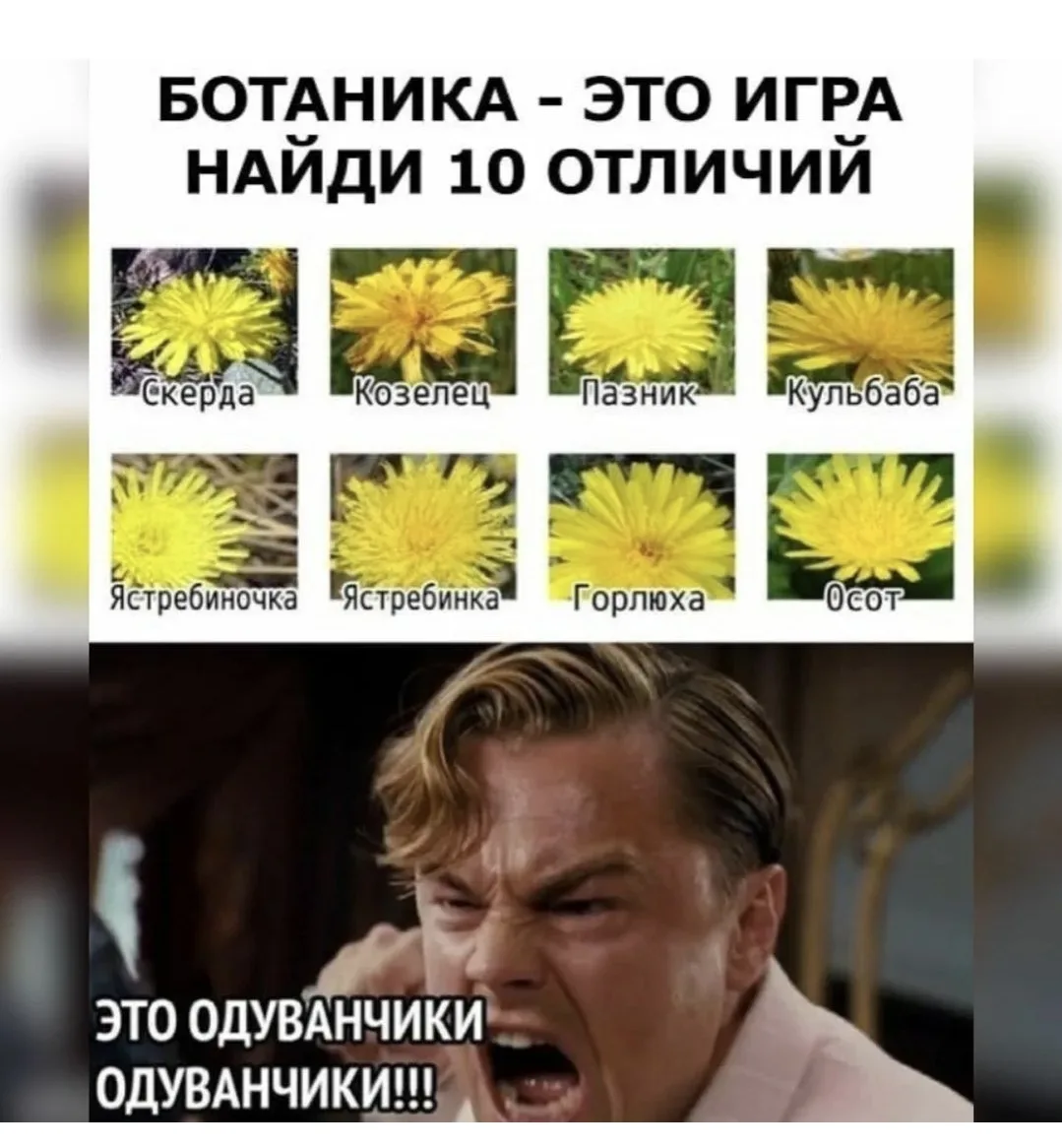 😁📸УЛЫБНИТЕСЬ📸😁  ✅ Подписывайтесь на сообщество ВК «МОЯ ГОРТЕНЗИЯ»: https://vk.com/moiagortenzia, что