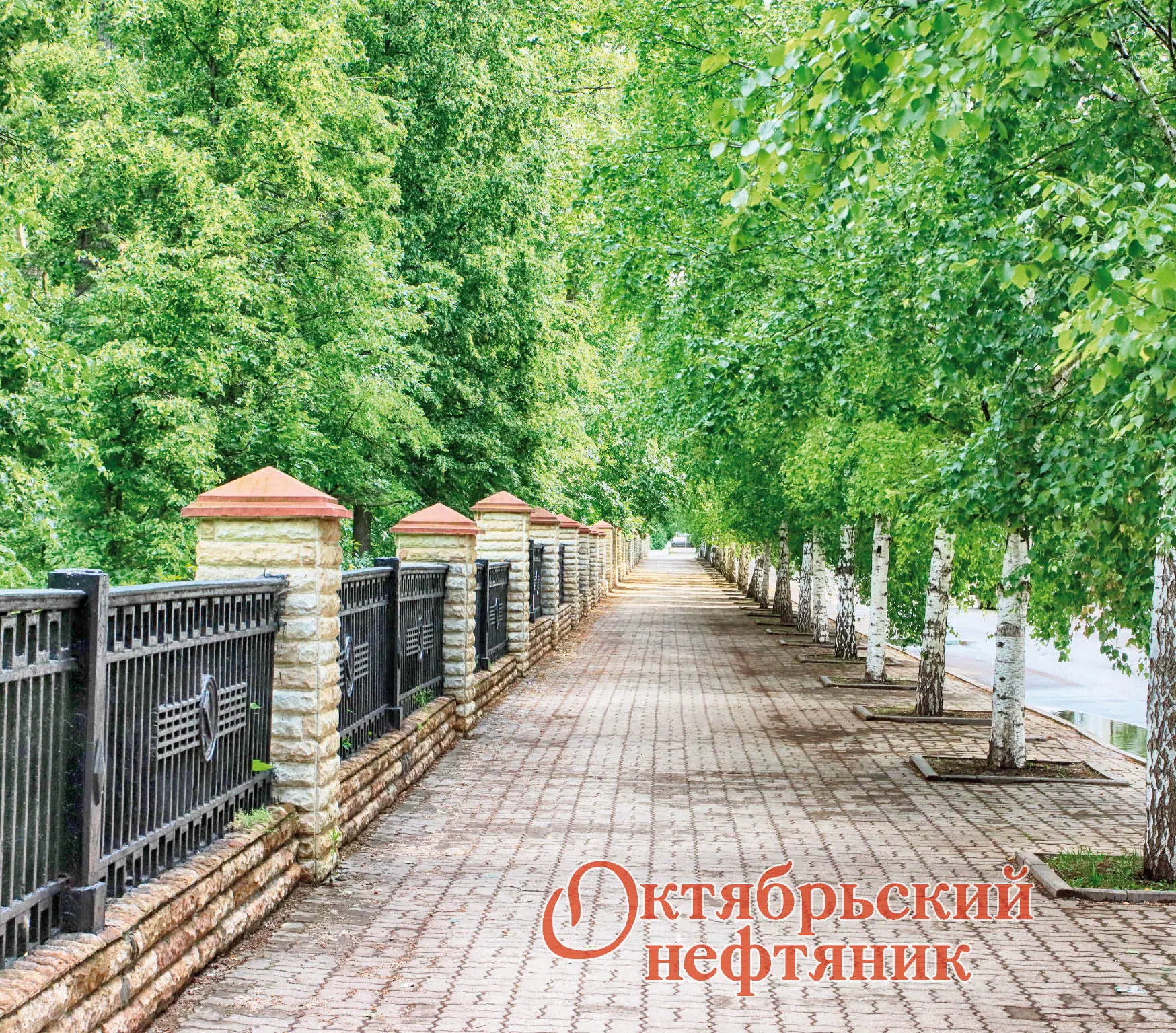 🌦️ 19 июня в Октябрьском облачно, температура днём +19…+23°, местами ожидается небольшой дождь.