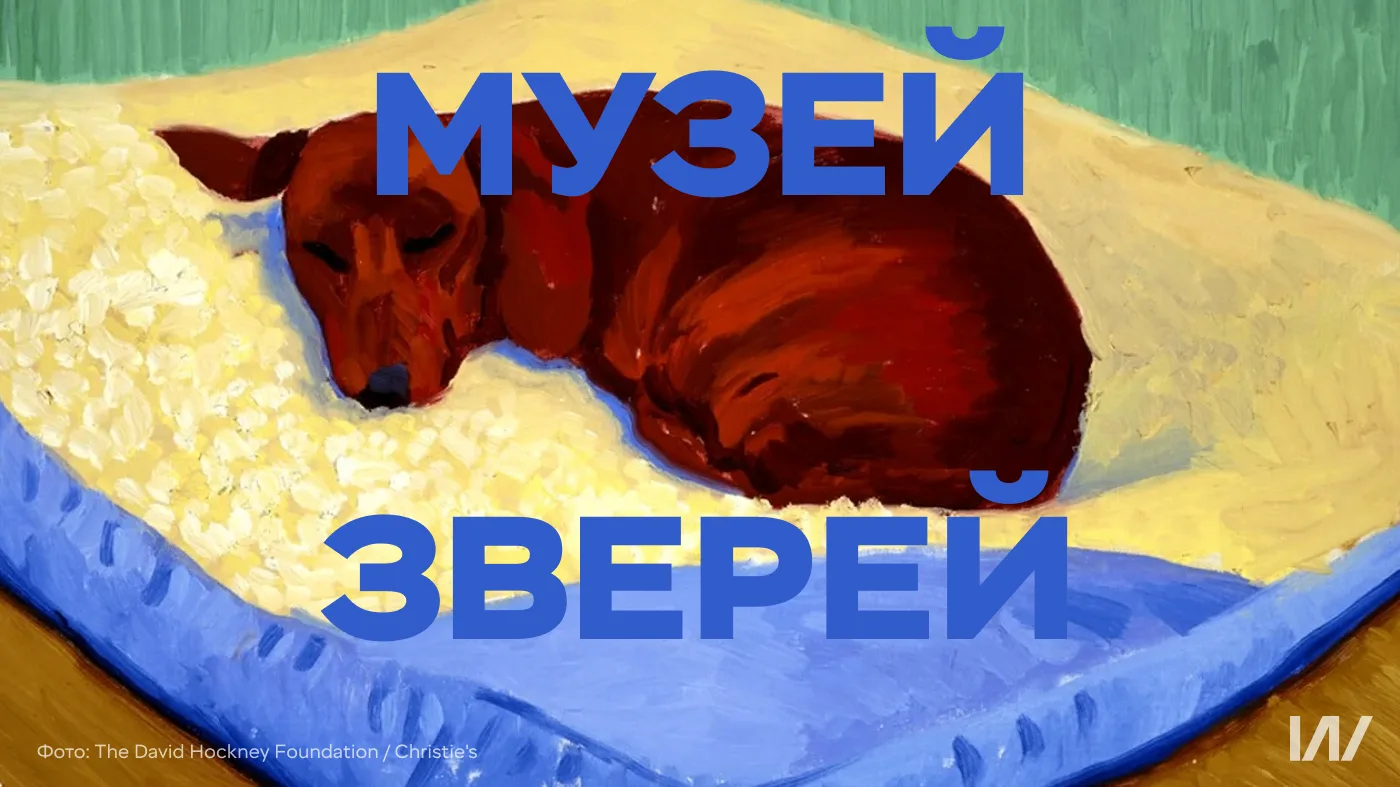 Пчелы, кит и лошадь: какие музеи животных есть в России и мире