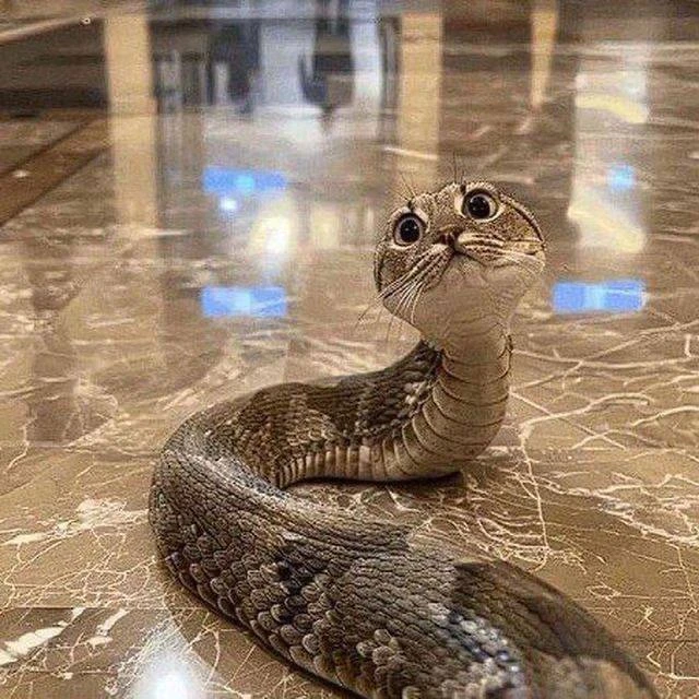 🐍 Всемирный день змеи отмечается сегодня