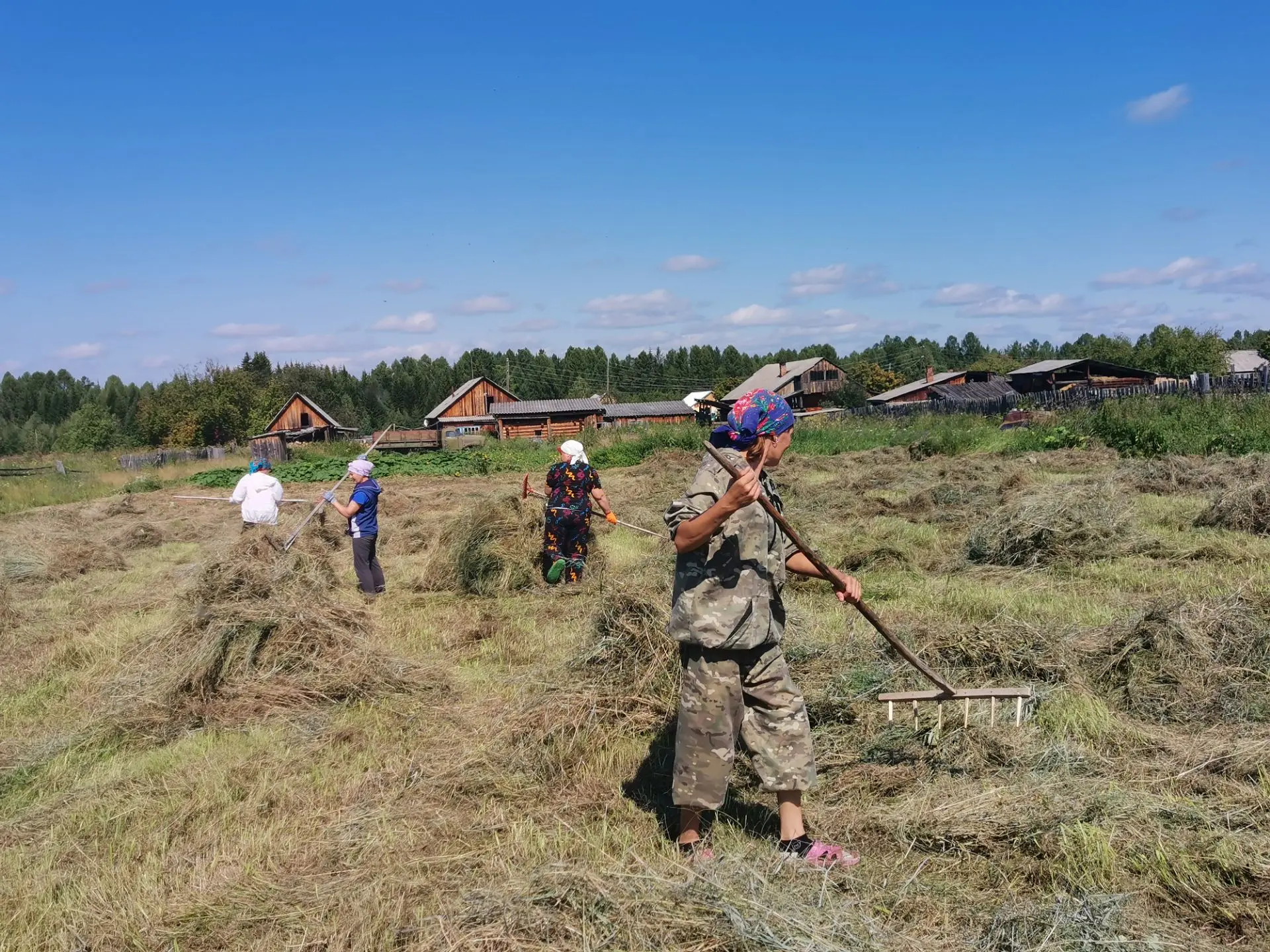 🚜 Завершение сенокосного периода на пришкольном участке 🚜