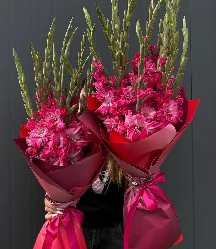 💐 Гладиолусы: красиво и надолго.

Сезон гладиолусов короткий, но эффект от них — на несколько дней.