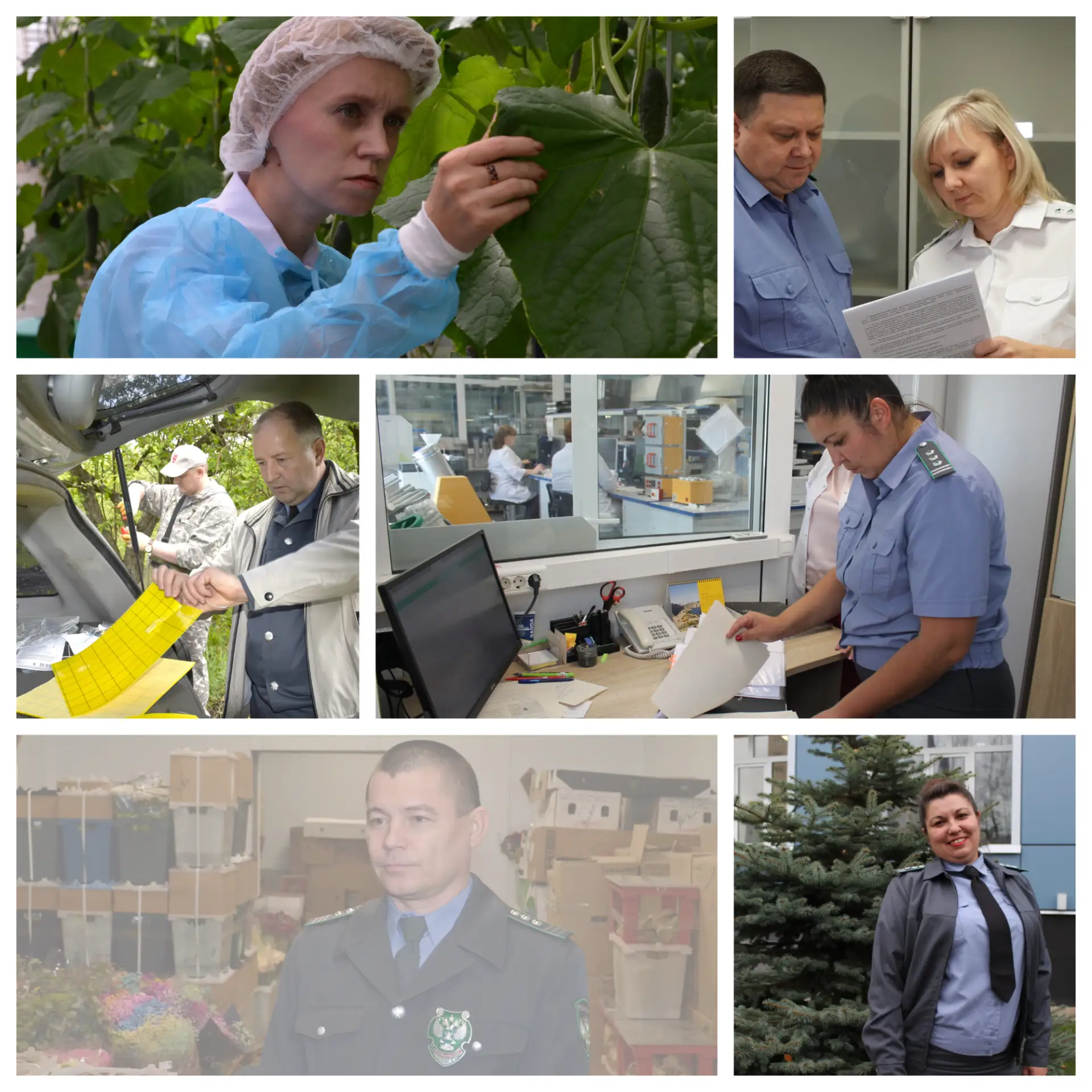 Поздравляем! Службе карантина растений -95 лет


🌱В этом году российская служба карантина растений 