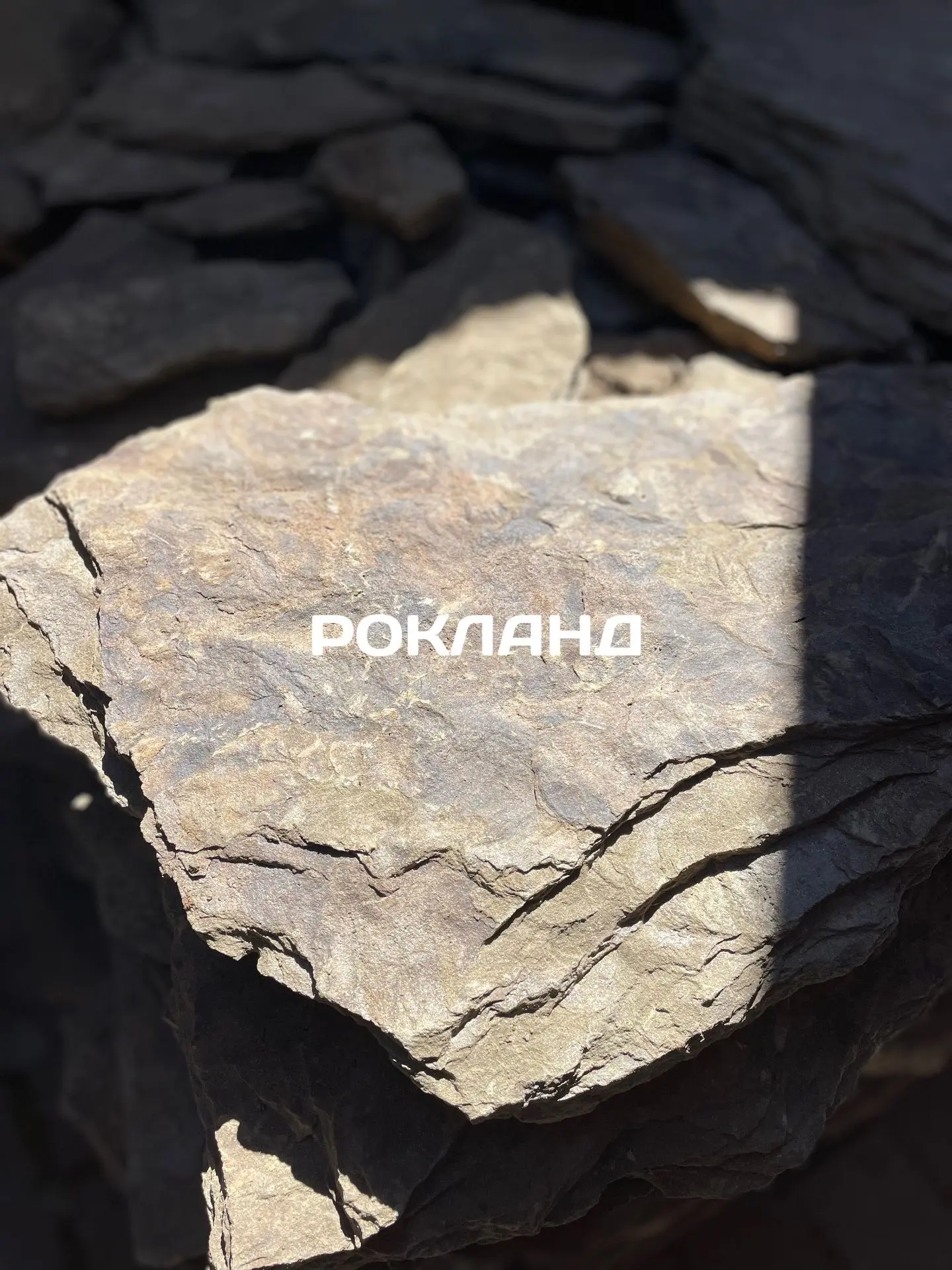ПРИРОДНЫЙ КАМЕНЬ
ПЕСЧАНИК СЕРО ЗЕЛЕНЫЙ «ДРАКОН»

Песчаник «Дракон» сразу цепляет взгляд: поверхность