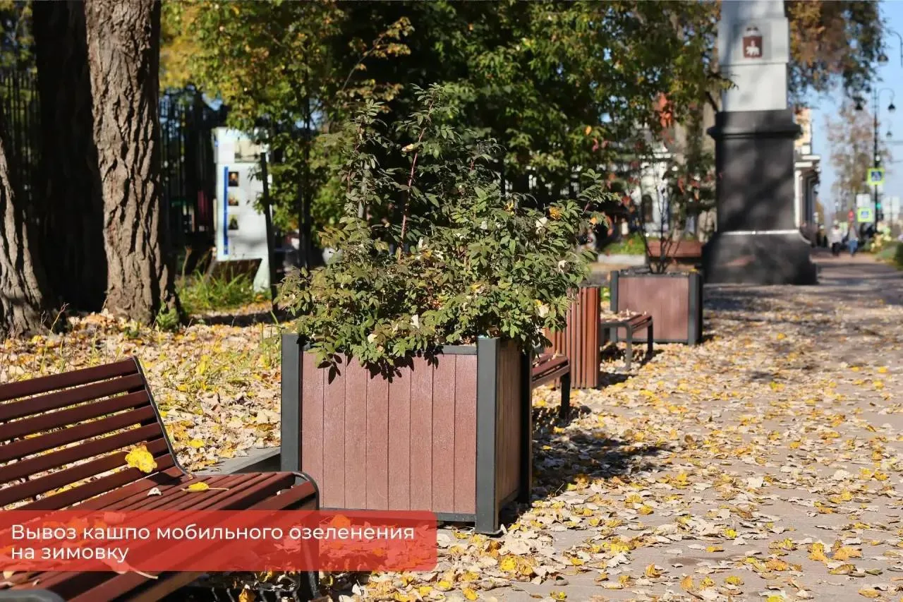 🌿 В Перми начали вывозить мобильное озеленение на зимнее хранение.