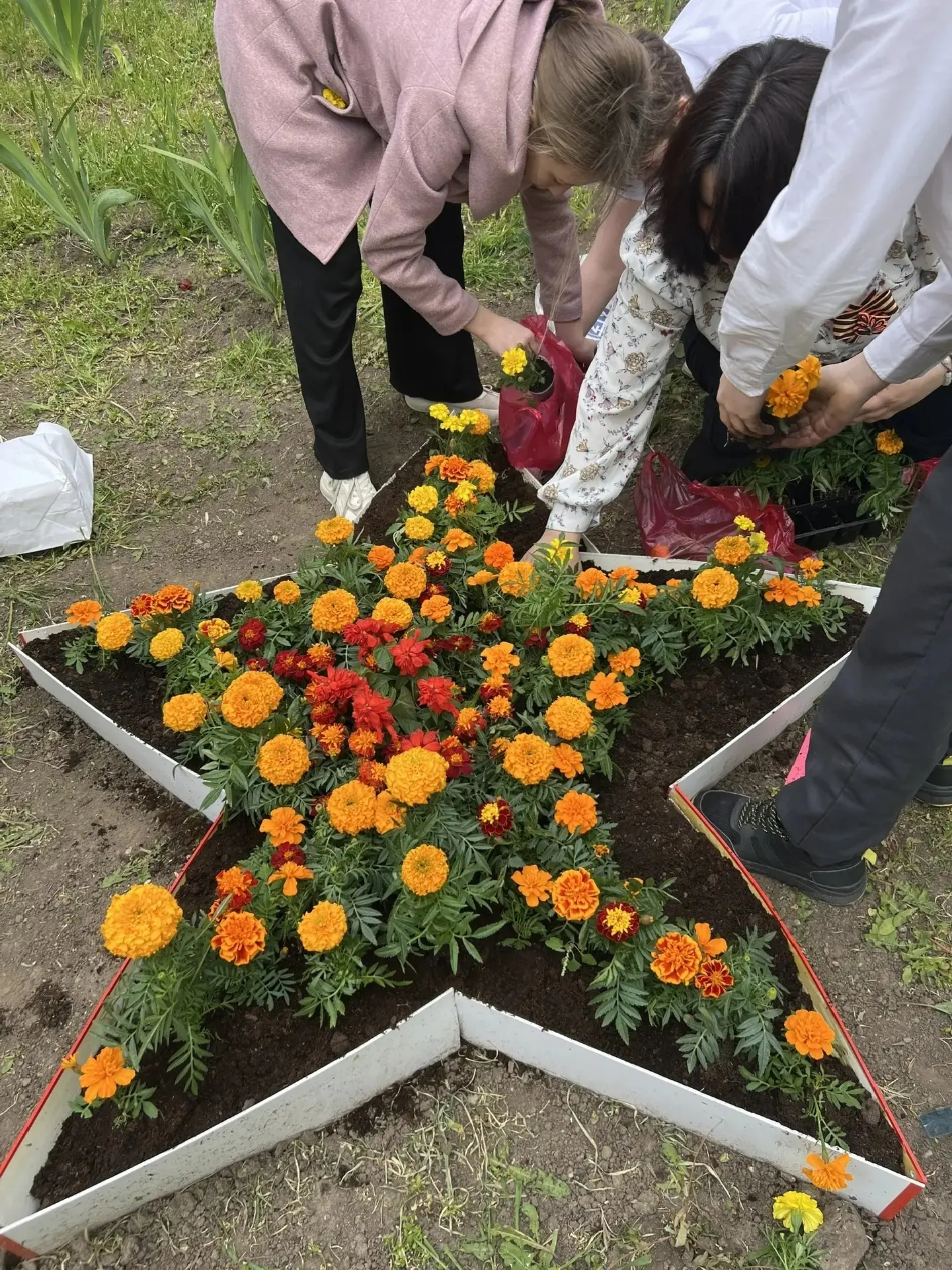 🌺 Клумба Победы: память, цветущая бархатцами  Учащиеся МАОУ «Гимназия №34» совершили благородное дел