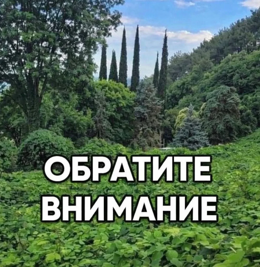 ✅Уважаемые туристы, просим обратить внимание !!! ЕСЛИ ВЫ ЗАБРОНИРОВАЛИ СЕБЕ НОМЕР  ГДЕ ...