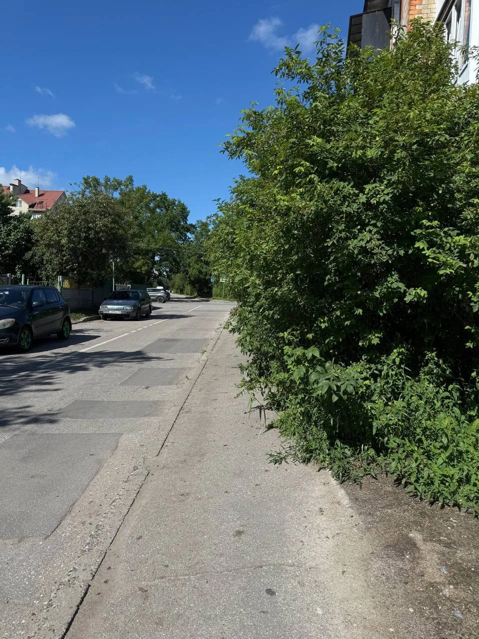 Собираются ли ответственные службы что-либо делать с кустами на улице Гурьева?!

Пройти с коляской в