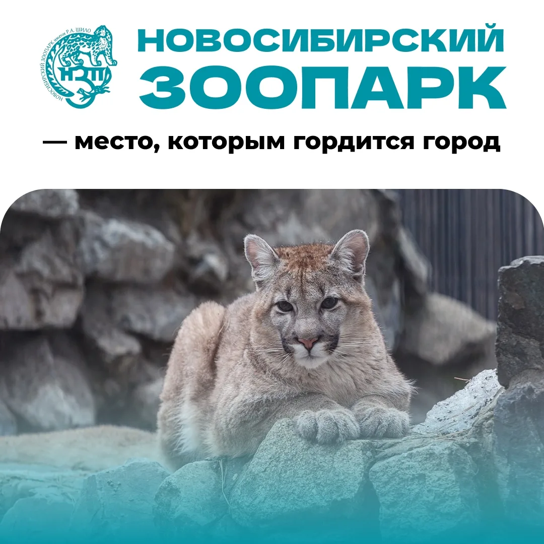 Мэр Новосибирска Максим Кудрявцев заглянул в зоопарк и рассказал, какие новинки ждут его посетителей