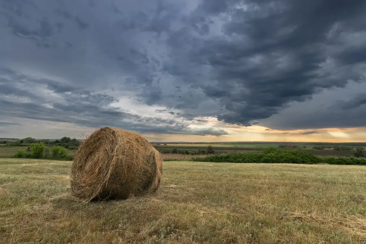 ПЕЙЗАЖ С РУЛОНОМ СЕНА
от каменского фотографа
Александра Шрайфеля.
________

🖥️ Электронную версию 
