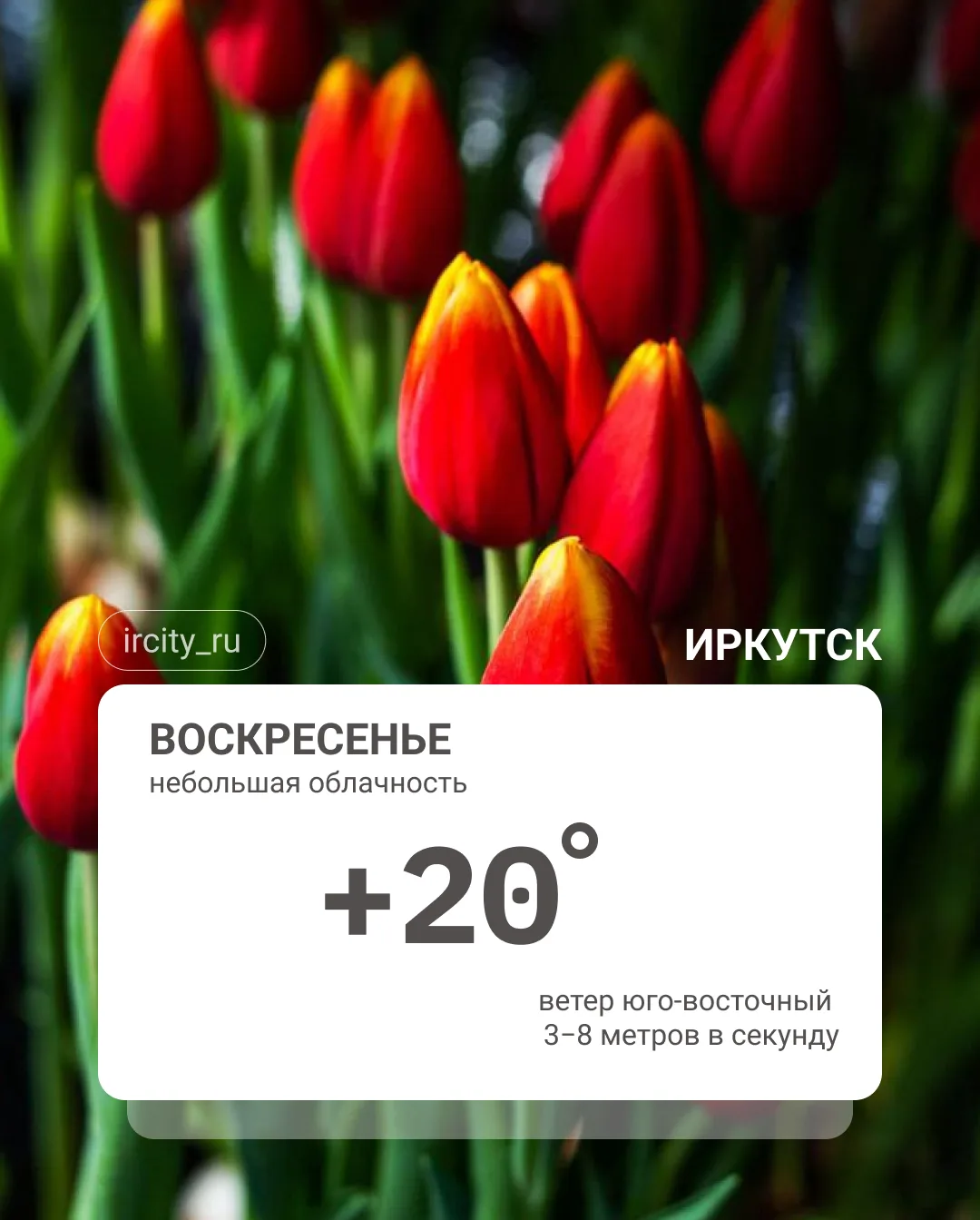 ❓ Погода сегодня.