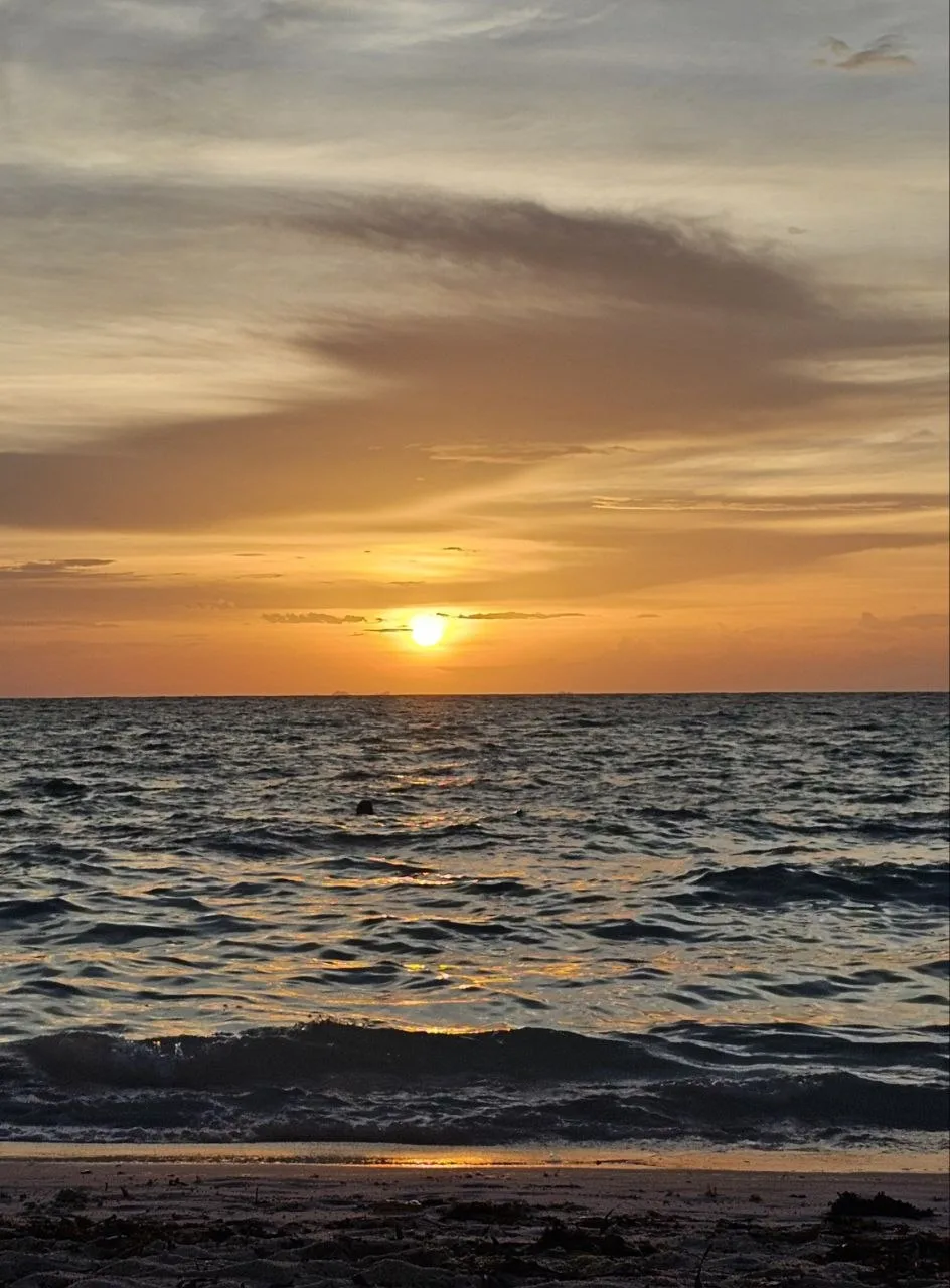 🇻🇳 ВЬЕТНАМ ИЗ КРАСНОЯРСКА ПО СУПЕР ЦЕНАМ! ☀️