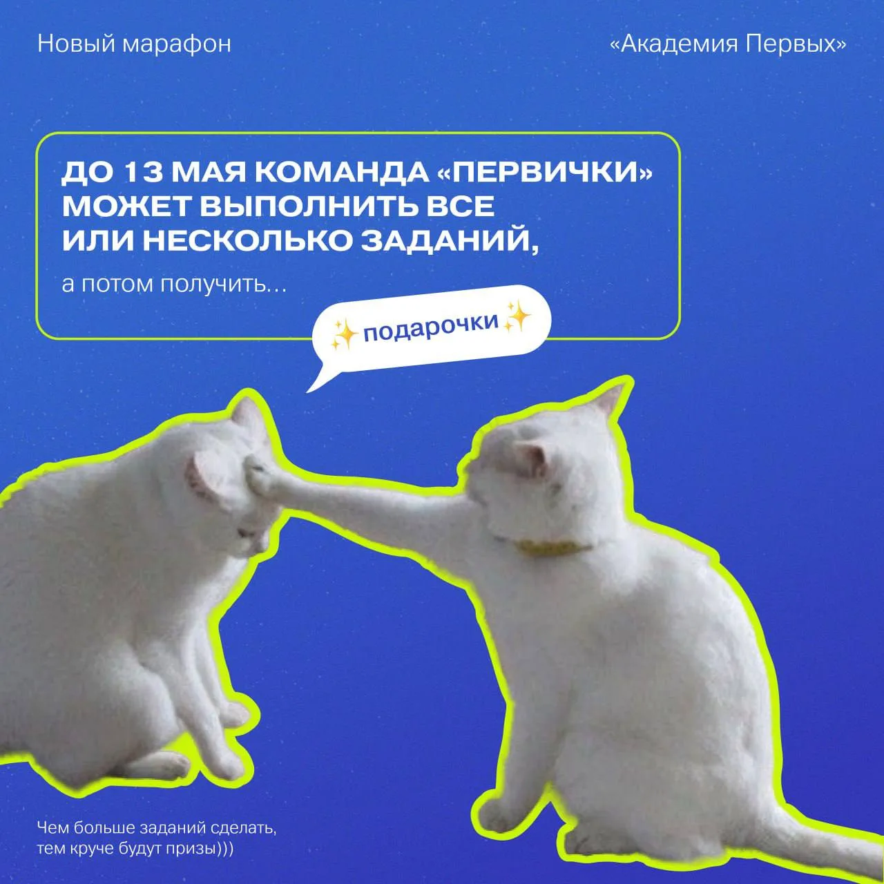 Марафон новый, а условия старые 🎁