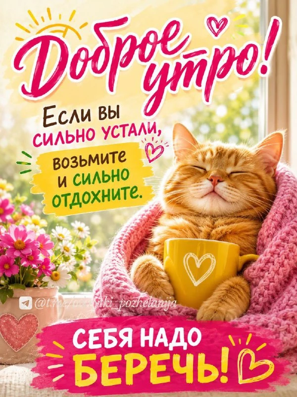Открытки: подписаться ❤️