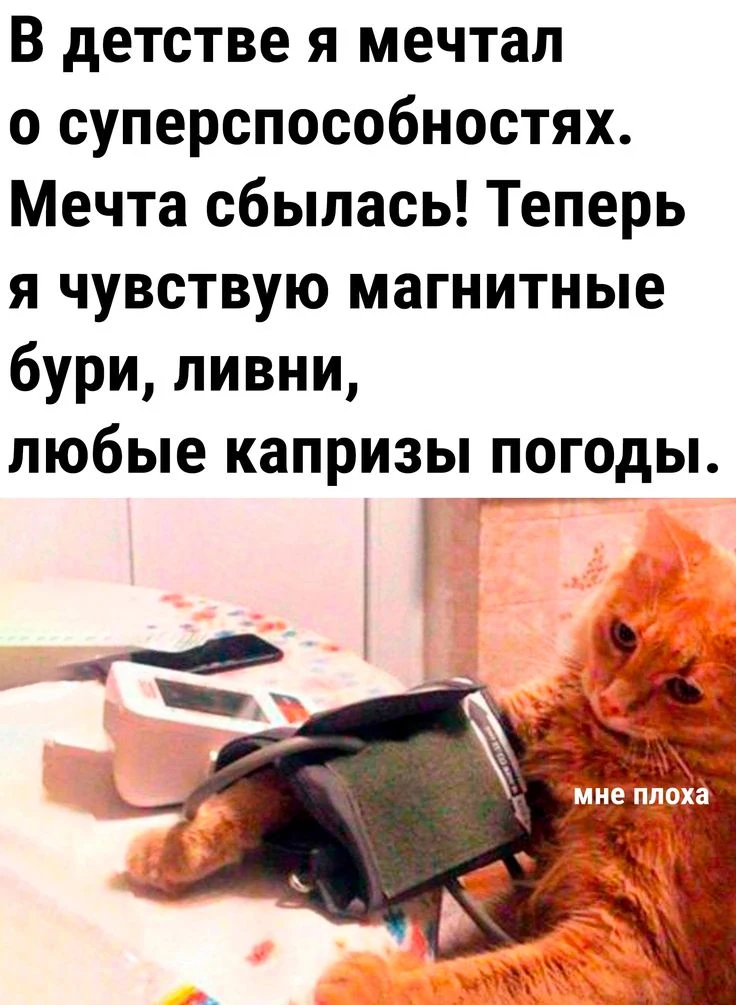 ☔️ Если перед дождём у вас ноют суставы, а голова работает как радио с помехами — это о...