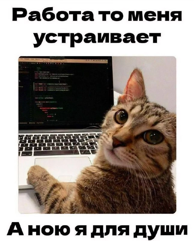 Жиза 😅