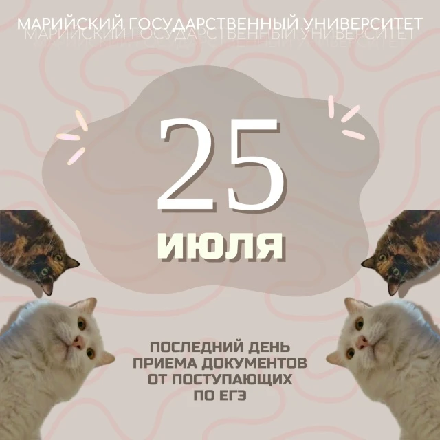 🎓 Внимание! Счёт пошёл на часы для тех, кто планировал подать документы по результатам ЕГЭ.

Самое 
