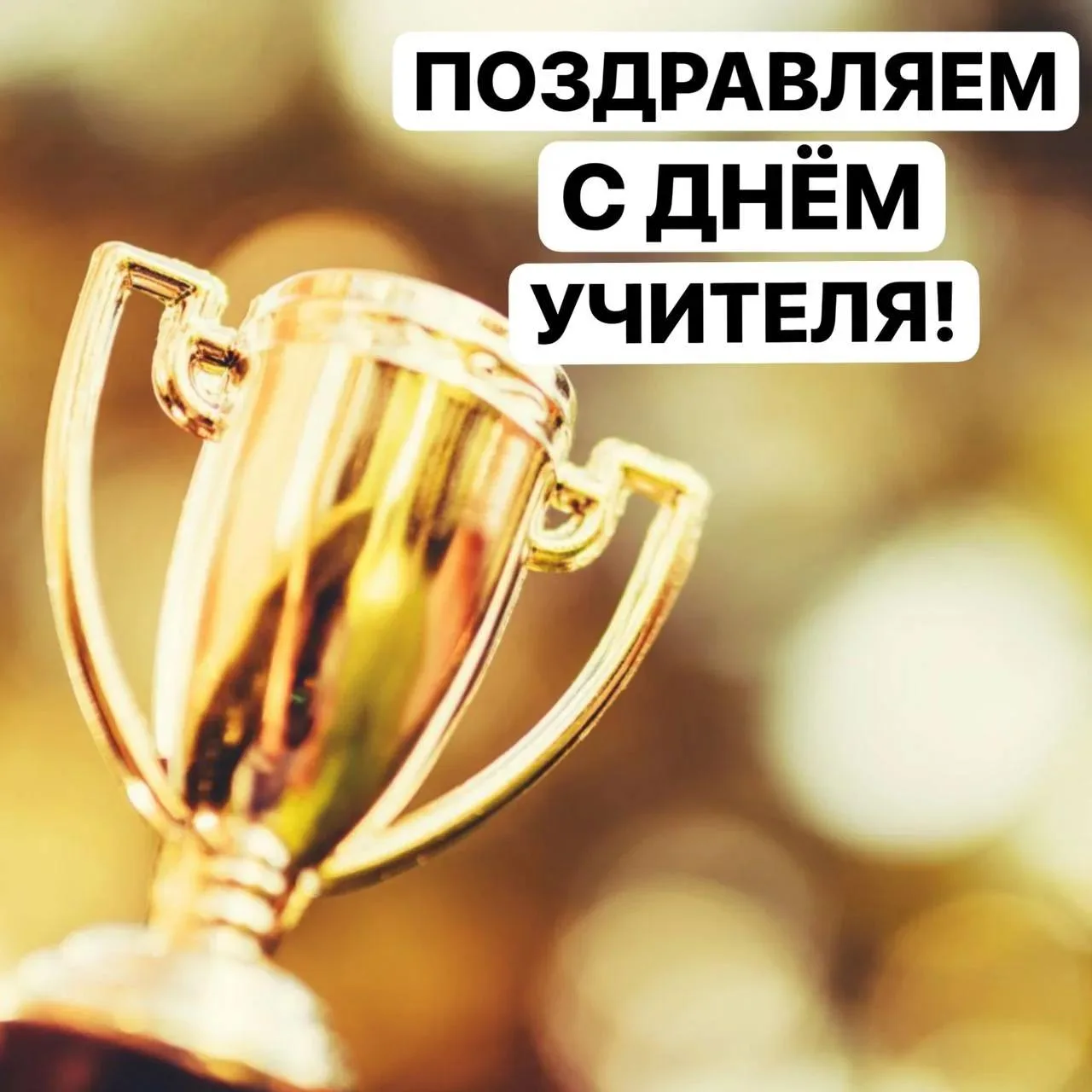 Поздравляем наших тренеров-преподавателей с Днем учителя!
