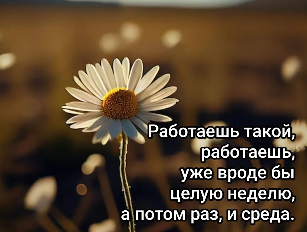 А у нас среда - это начало новой банной недели, ждём Вас с 15:00