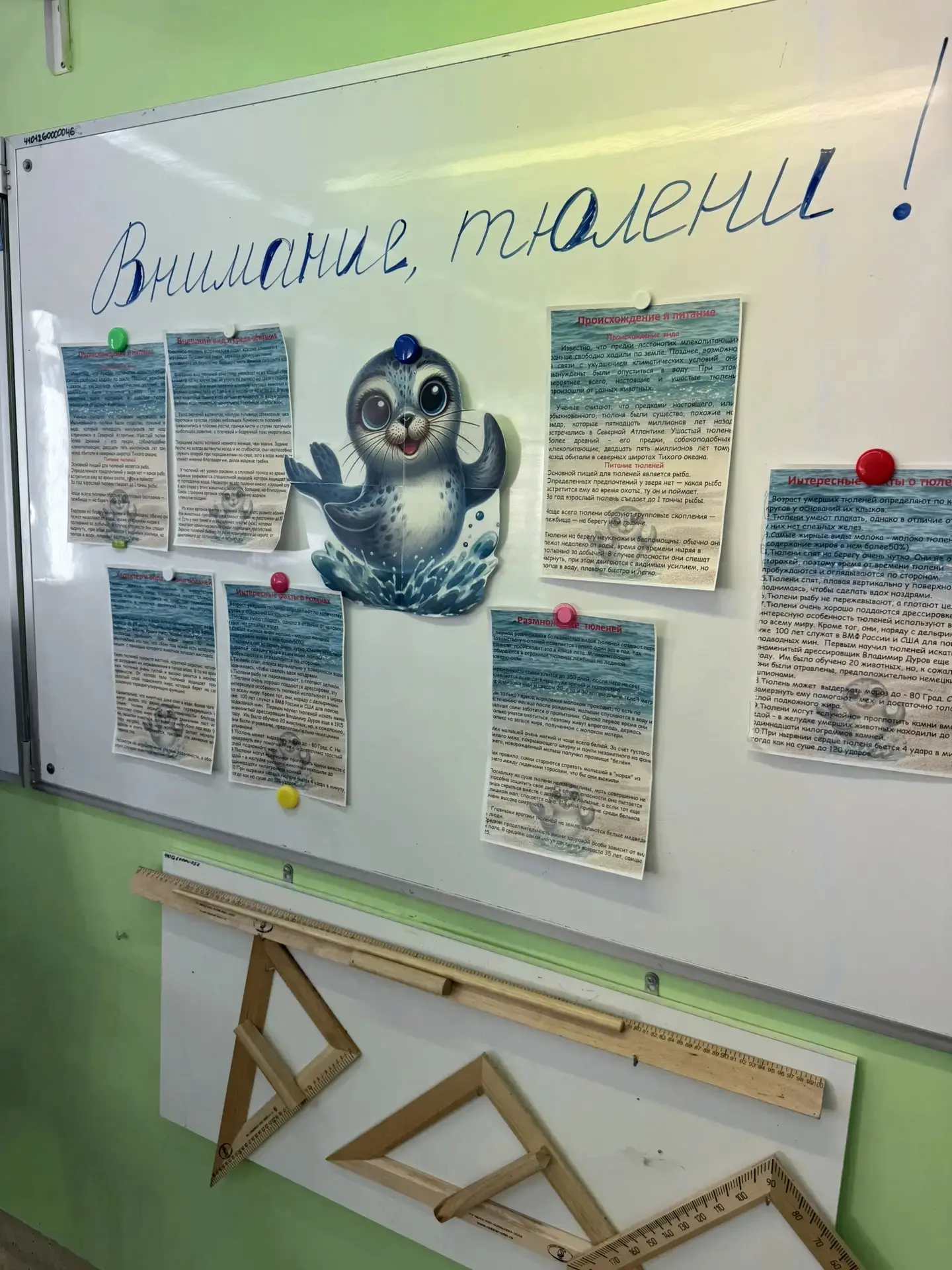 Ученики 3 А класса нашей школы приняли участие в природоохранной эко кампании «ПРО тюленей», нацелен