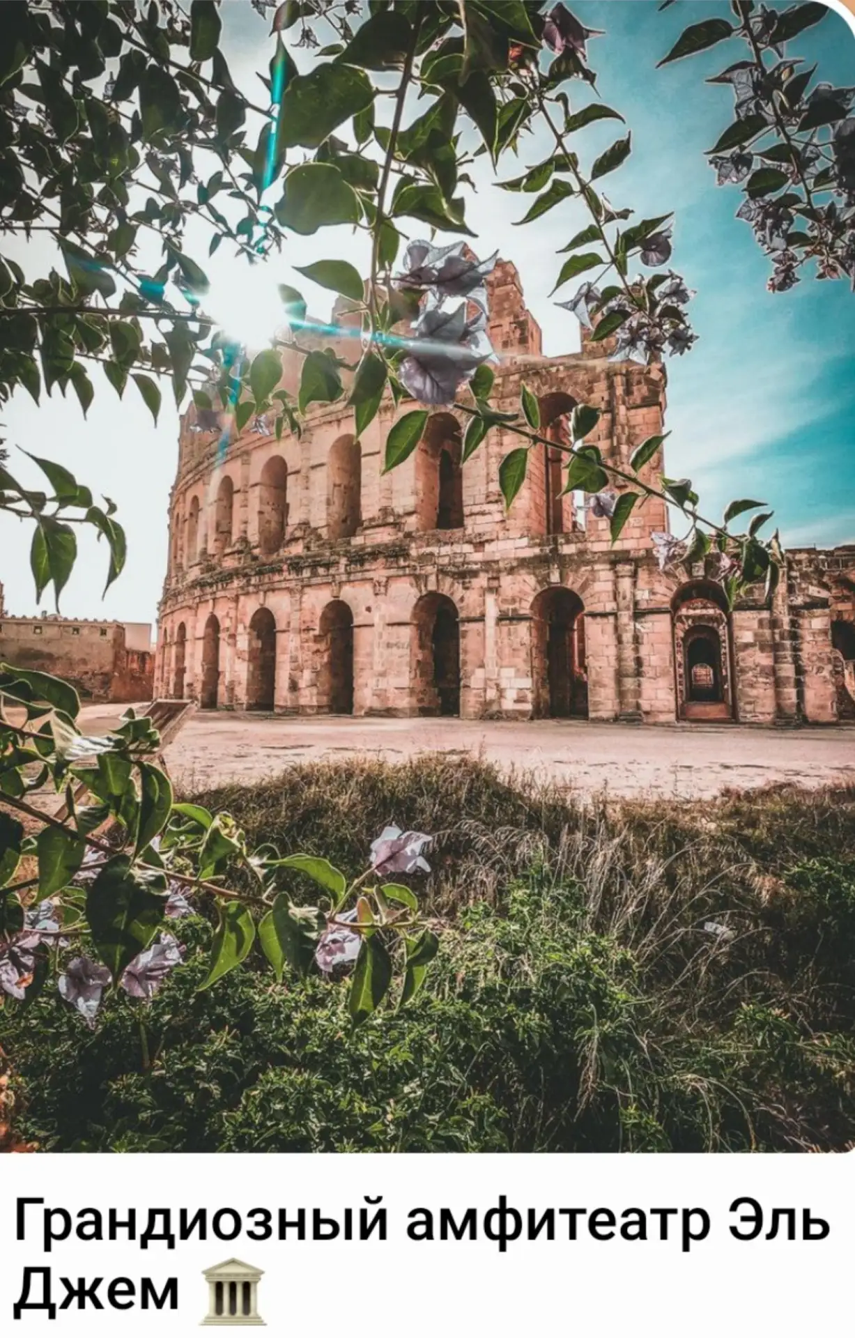 🇹🇳Тунис — не просто пляжный отдых! ✨