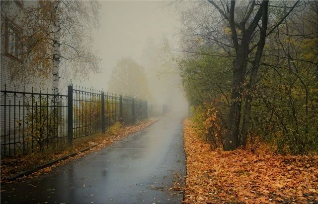 Осенние ночи холоднее, а это значит, что ночью и утром нас может поджидать туман. Будьт...