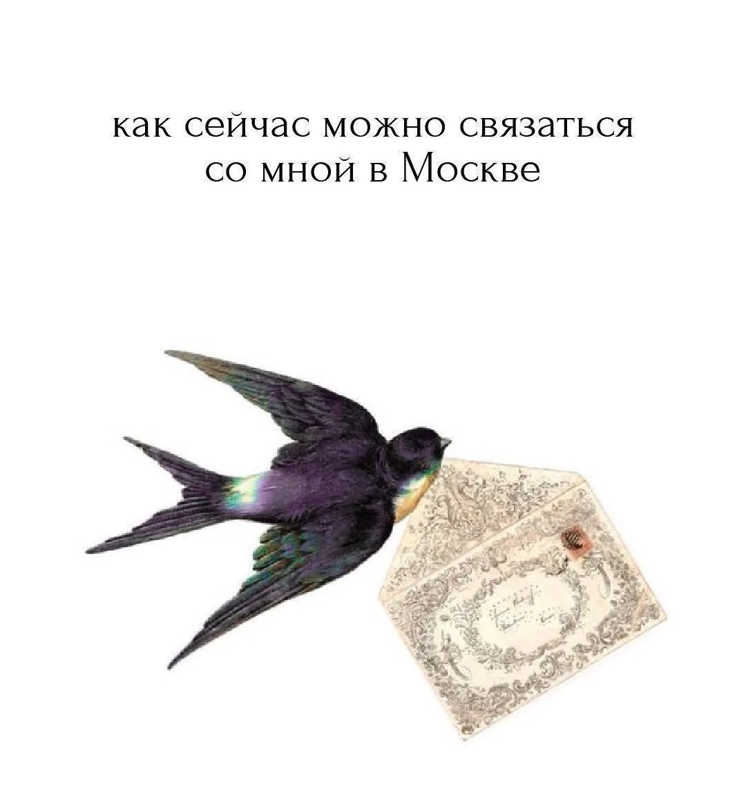 📃 Памятка: как оставаться на связи, если пропадёт интернет