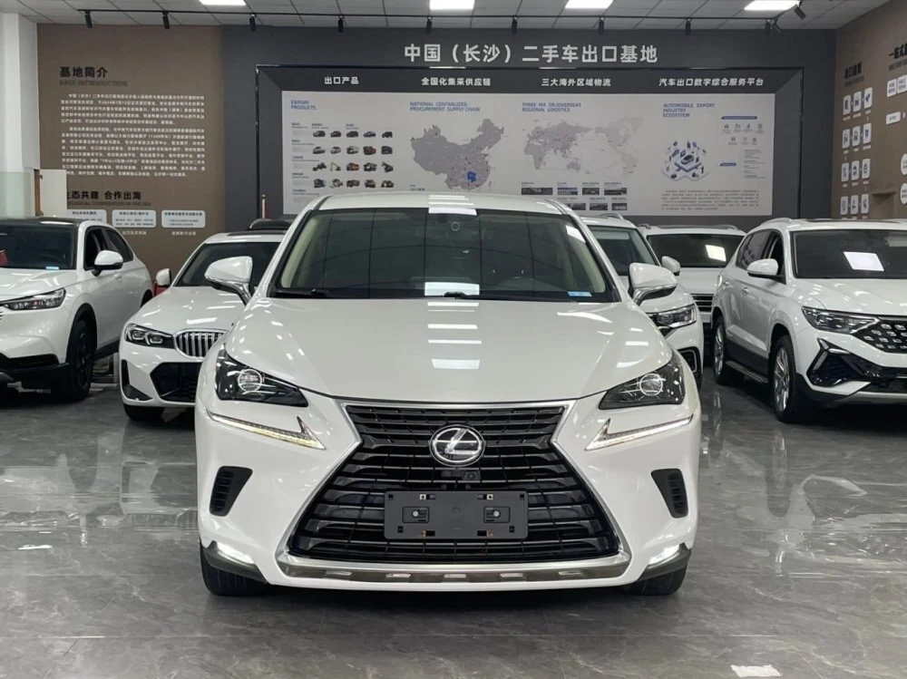 🚗 Lexus NX 2020