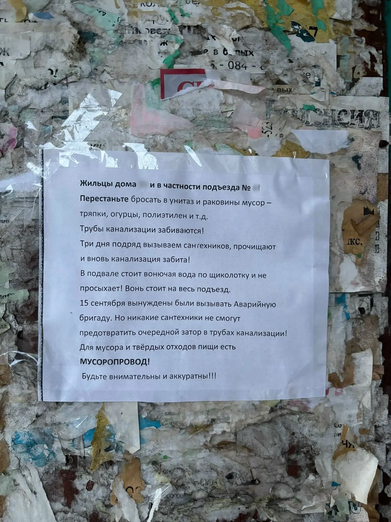 Почему забивается канализация? Отвечают жители города.