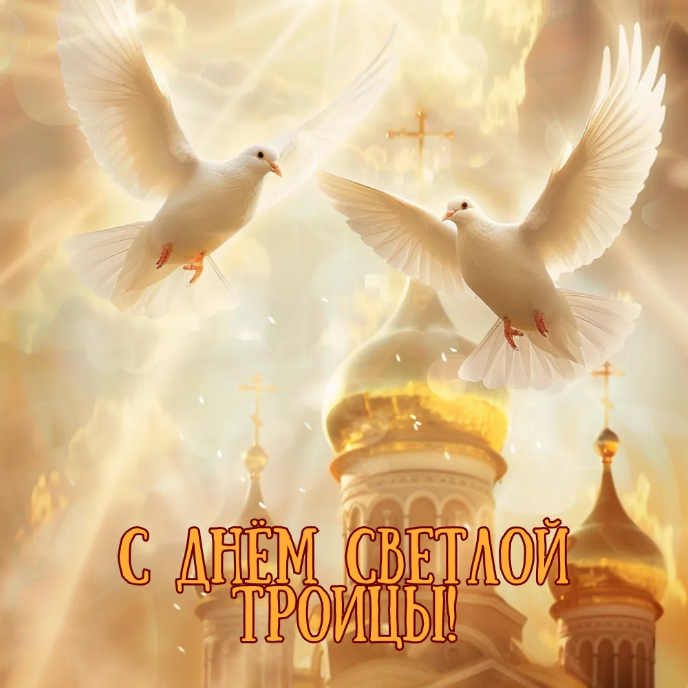 С праздником дорогие друзья! В день Святой Троицы хочется пожелать самого главного: здо...