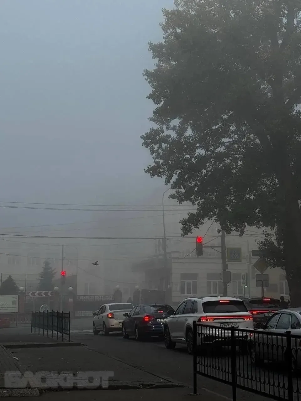 Вот это туман в Ростове, туманище! 😶‍🌫