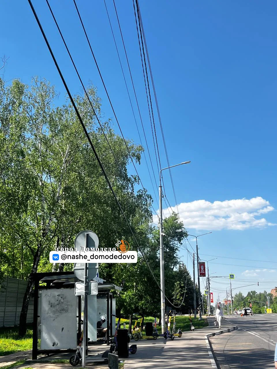 Напротив парка елочки, дерево упало на провода, и провод на остановке висит  Прислали нашему боту t.