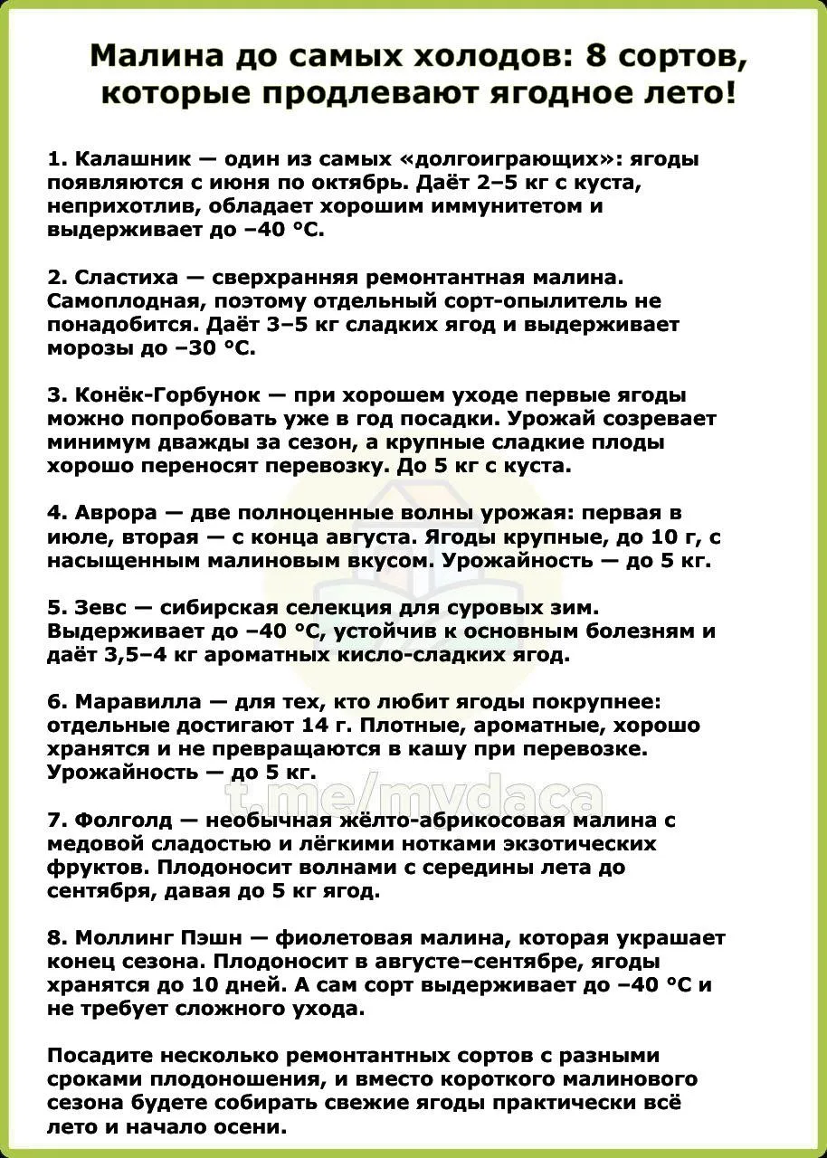 Изображение 2 к публикации «Моя дача»