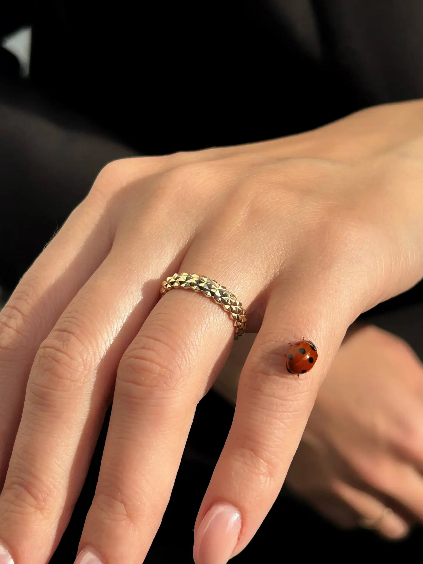 Комплект из коллекции NVVM

🐞Классическое кольцо
🐞Пусеты из желтого золота 585

Изделия доступны к