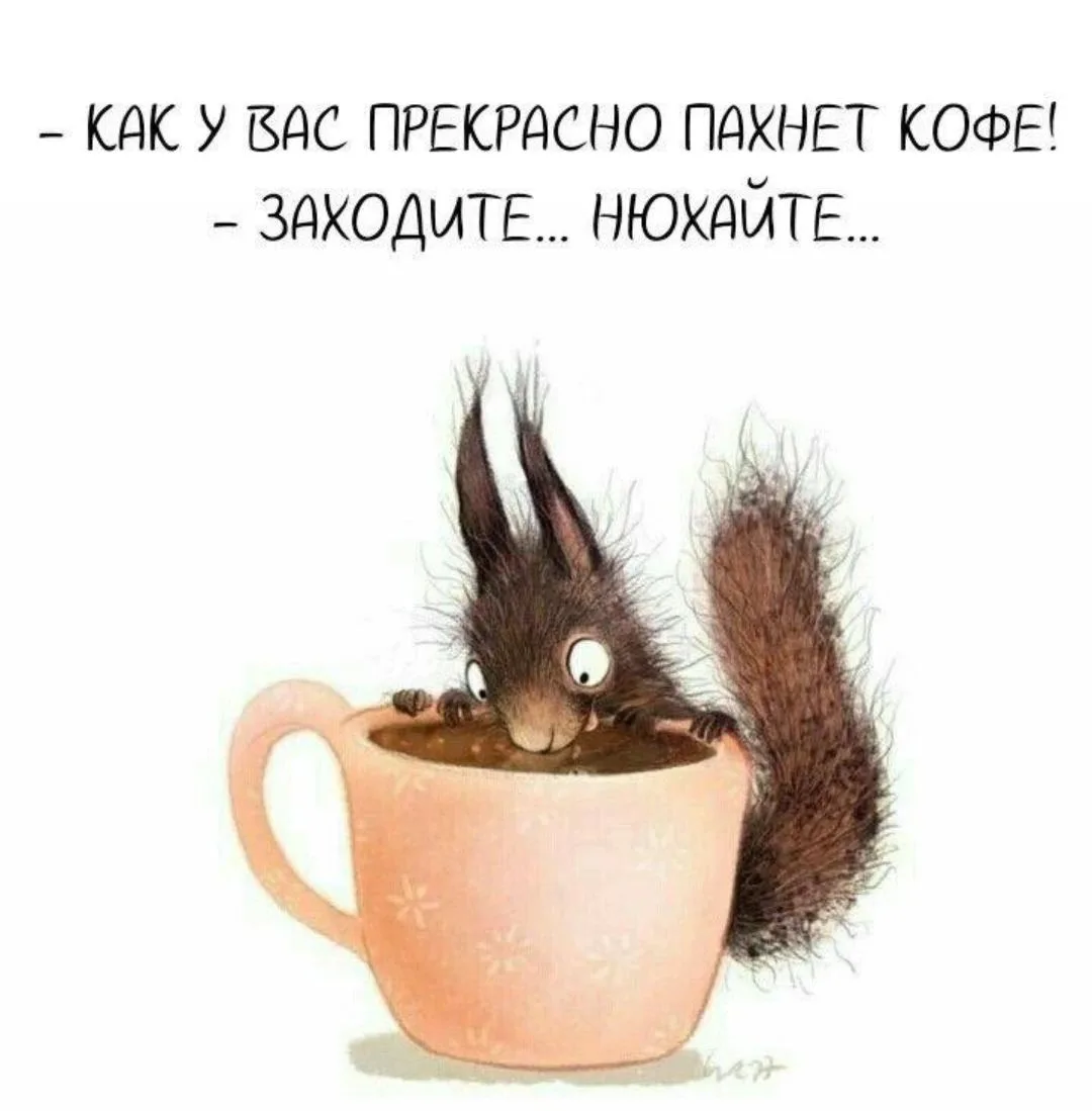 Немного о гостеприимстве 🤣