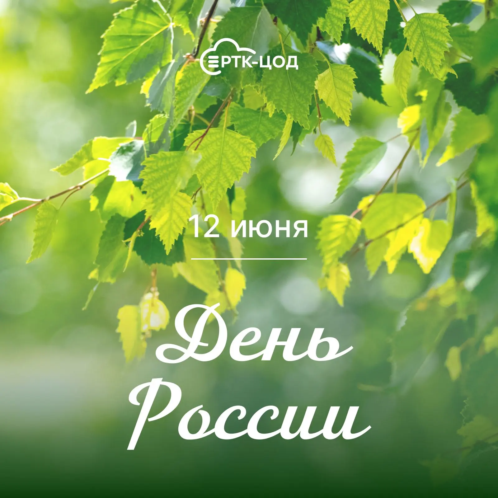🇷🇺 С Днём России!

Для нас, команды «РТК-ЦОД», Россия — это огромная цифровая вселенная. Это милли
